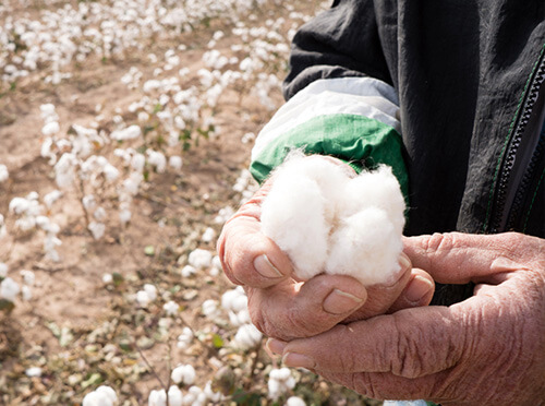 Ethical Sourcing of Cotton